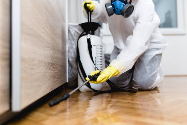 Trusted Cottageville, SC Pest Control Experts