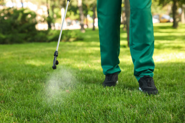 Best Exterminator Services  in Cottageville, SC
