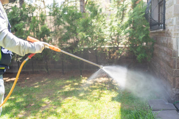 Best Wasp Removal Services  in Cottageville, SC
